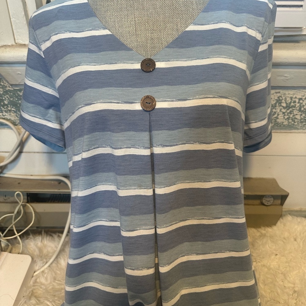 ⭐️ 3/$20.00 Striped V-Neck Button Blouse in Blue and White
